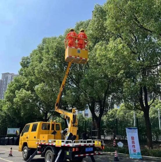 實戰演練，筑牢防汛防臺安全底線